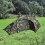 tenda militare recom woodland 14201020