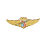 spilla distintivo aviazione navale giemme MM2204 26701d4700