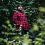 giacca flanella lumberjack sherpa 129536 rosso nero 2 49031f247f