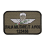 brevetto paracadutista civile italiano ricamo bianco verde 8bec5781c7
