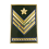 grado esercito metallo sergente maggiore capo para qualifica speciale graduato aiutante verde 1 9608e9dfe5