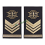 gradi tubolari ecogoniometristi marina militare secondo capo scelto 89841edc0a