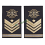gradi tubolari ecogoniometristi marina militare secondo capo scelto qs ec3a09ef4f