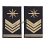 gradi tubolari radiotelegrafisti marina militare secondo capo scelto a81d0c62e9