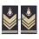 gradi tubolari servizio sanitario marina militare secondo capo scelto 7895800e9c