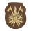 fregio berretto esercito su panno khaki cimic 51d0419e49