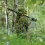 elementi per camuffamento ghillie miltec 11969600 grass reaper 2 d7dadde2fa