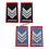 coppia gradi tubolari carabinieri estivi invernali brigadiere capo acc 155f1efd67