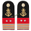 spalline da giacca marina militare primo luogotenente infermiere mm510 5339e08d8b