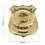 distintivo security guard oro 1902d340d6