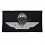 patch toppa brevetto paracadutista nero civile argento c5ae192ef3