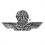 brevetto paracadutista in metallo civile piccolo 1 9843f31885