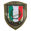 patch scudetto italia associazione nazionale paracadutisti d'italia vegetato