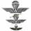 brevetto paracadutista in metallo militare piccolo e grande acc