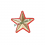 stella militare oro bordo rosso fr 1 43e57c6398