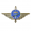 spilla brevetto militare paracadutista unione europea 1 ddc02d52c5