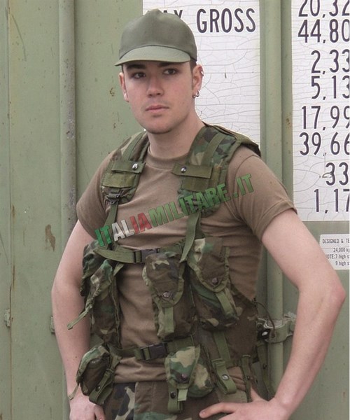 Устройство siwarex wp522. Cucv ii type b. Load us. Внутри wp522st siwarex. Load us.