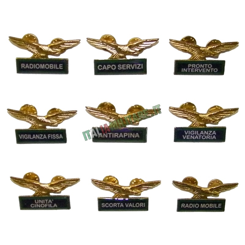 Spilla Distintivo Guardie Giurate Varie Specialità Verde