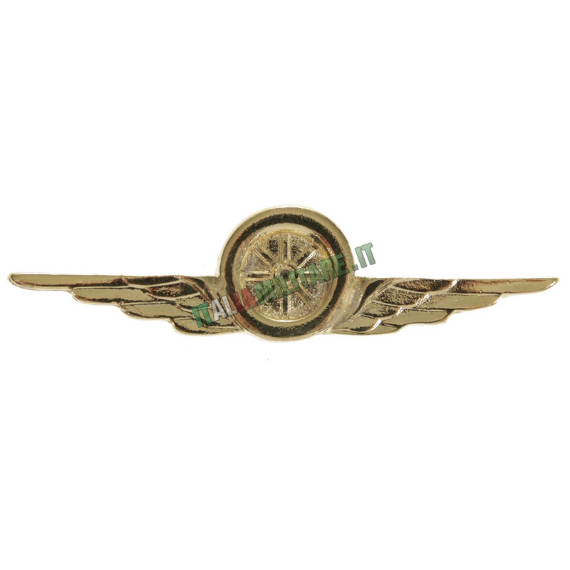 Spilla Aeronautica Militare da Motorizzazione